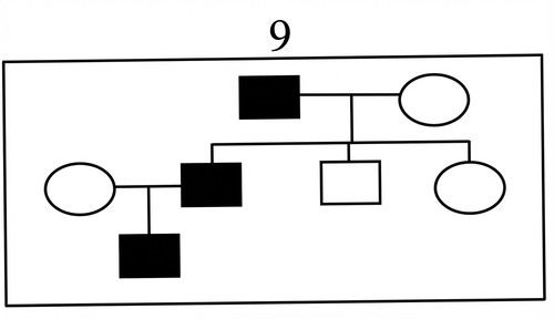 genetique emd2 2017 ce 0002 nbp.jpg