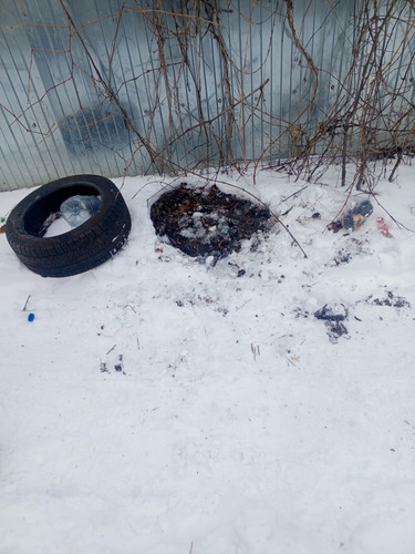 IMG 20260226 160426 082.jpg