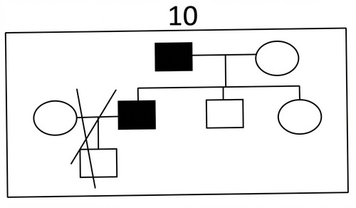 genetique emd2 2017 ce 0001 nbp.jpg