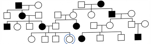genetique emd3 2014 ce 0004 nbp.jpg