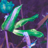 621492528 18018754106799550 5589861542084638295 n