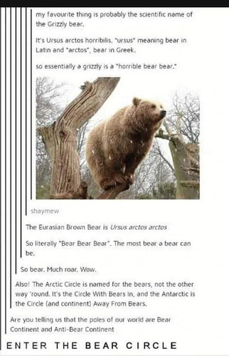 643349693 1340929631404347 5045171657913035149 n.jpg