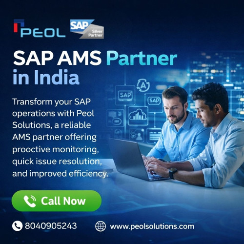 SAP AMS Partner in India.jpg