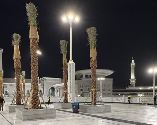 640807028 18565802395059524 3934072690442905088 n.jpg?stp=dst jpg s590x590 tt6& nc cat=111&ccb=1 7& .jpg