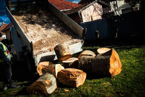 643424725 1536853454475892 8108296665619877308 n.jpg?stp=dst jpg s590x590 tt6& nc cat=108&ccb=1 7& n.jpg