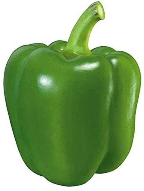 10 shimla mirch capsicum hybrid.jpg