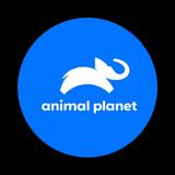 AnimalPlanet