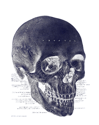 FRONTAL SKULL DESIGN 4 BLACK.png