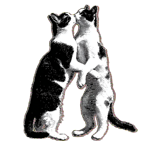 cats in love kissing design 1.png