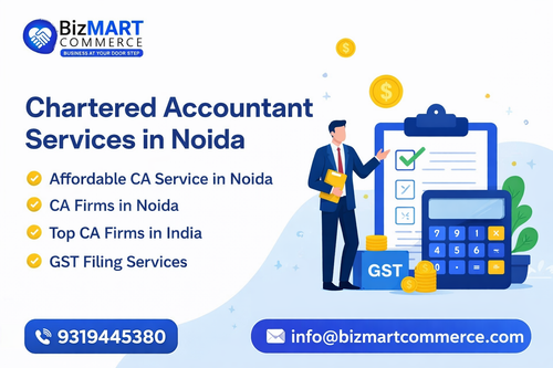 chartered accountant services in noida.png