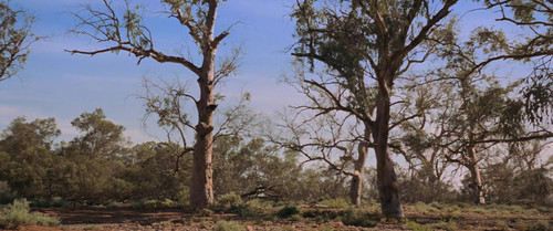 漫漫回家路.Rabbit Proof.Fence.2002.UHD.BluRay.2160p.x265.10bit.HDR.DTS HD.HR.5.1.mUHD FRDS 00 02 48.jpg