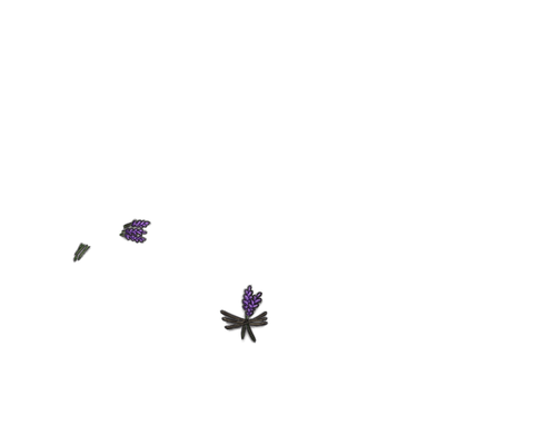 IMG 0110.png