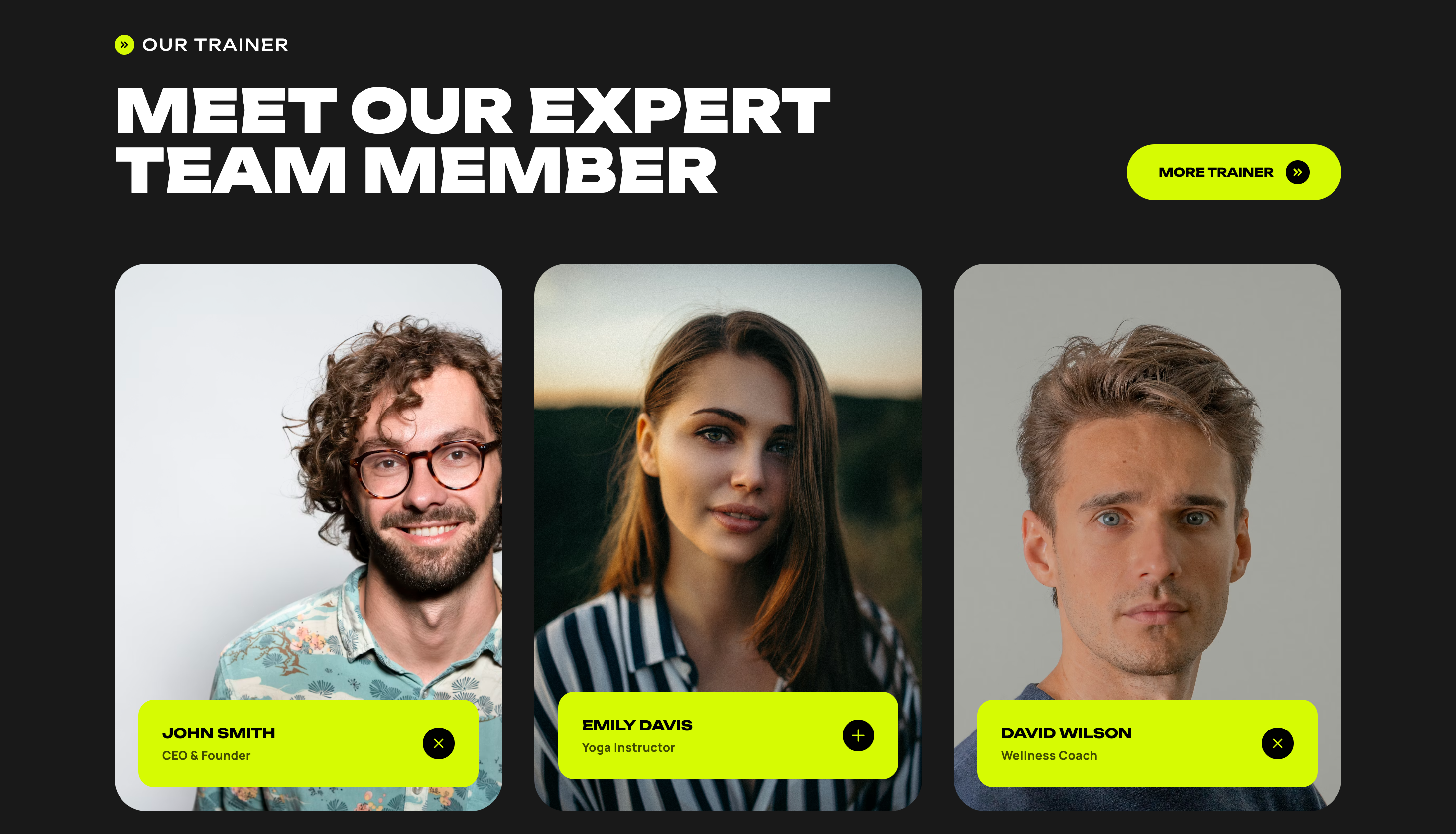 HD Fitness – Gym Website — detail 4