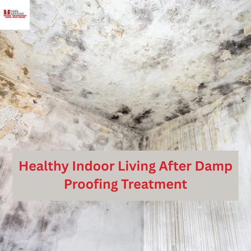 Healthy Indoor Living After Damp Proofing Treatment.png
