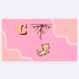 IMG 20260227 111901.jpg