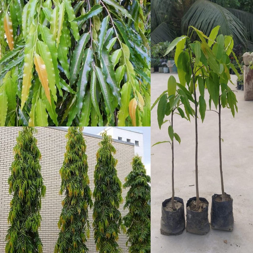 71rf8nbGfXL. SL1280 .jpg