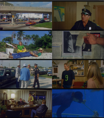 Un Drole De Flic 1980 German DTSD ML 1080p UHD2BD x264 bobbel.mkv.jpg