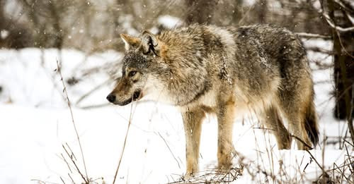 16874129358280103048?url=https%3A%2F%2Fwww.startlap.hu%2Fuploads%2F2026%2F02%2Fpost 22285721.jpg&fb .jpg