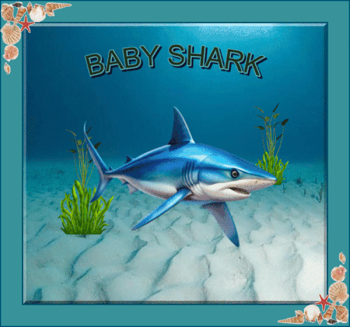 BABY SHARK.gif