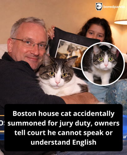 275. In 2010 cat had to serve on the jury.png