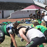 IMG 4537