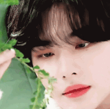 ezgif.com resize (14).gif