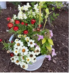 Landscape Design Delray Beach.png