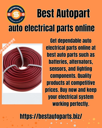 Auto electrical parts online.jpg