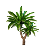 BC SexyOnWildWest EL (6)