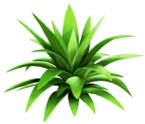 BC SexyOnWildWest EL (7).png