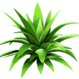 BC SexyOnWildWest EL (7)