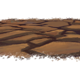 BC SexyOnWildWest EL (10)