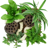 BC SexyOnWildWest EL (13)