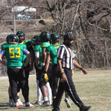 IMG 4781