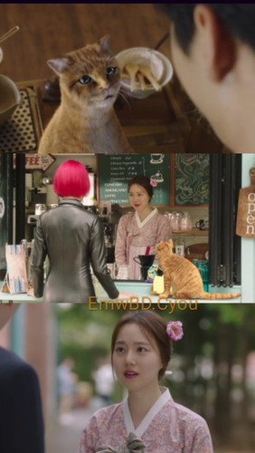 IMG 20260323 210251.jpg