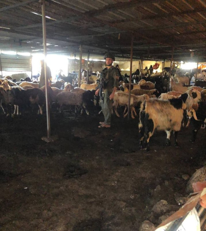 اقتحم مستوطنون برفقة قوات الاحتلال، مساء اليوم، منطقة خلة المفاتيح في بلدة السموع جنوب الخليل، حيث أطلقوا قنابل الغاز والأعيرة النارية باتجاه المواطني...