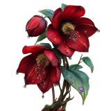 MSD VELVETDEVOTION ELEM41