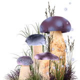 BC SomeTimeOfFall EL (24).png