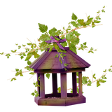 BC SomeTimeOfFall EL (19)