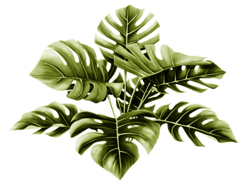 BC SomeTimeOfFall EL (18).png