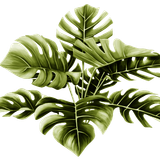 BC SomeTimeOfFall EL (18)