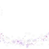 BC SomeTimeOfFall EL (25)