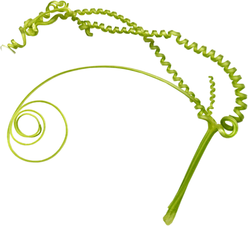 BC SomeTimeOfFall EL (27).png