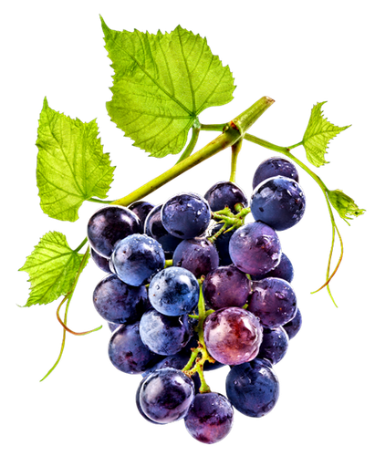 BC SomeTimeOfFall EL (23).png