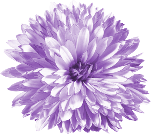 BC SomeTimeOfFall EL (26).png