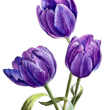 BC SomeTimeOfFall EL (21).png