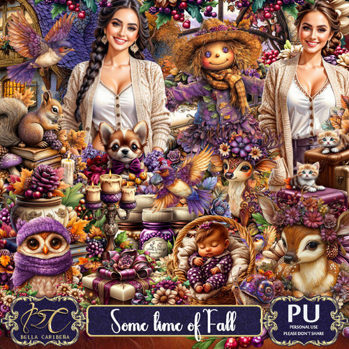 1 BC SomeTimeOfFall.jpg