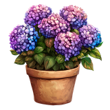 BC SomeTimeOfFall AI EL (63)