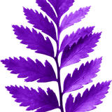 BC SomeTimeOfFall EL (1).png