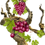 BC SomeTimeOfFall EL (14).png